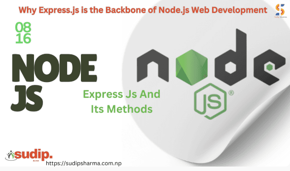 Why Express.js is the Backbone of Node.js Web Development?